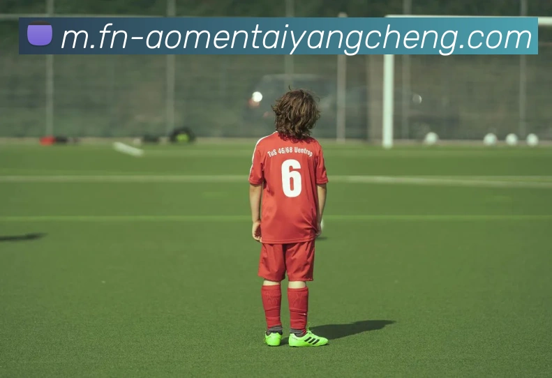 多媒体互动体验